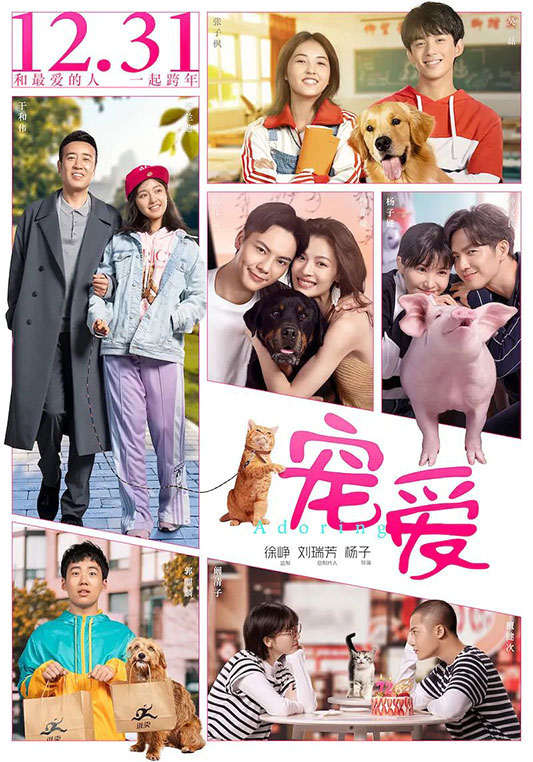 宠爱什么时候上映 上映时间
