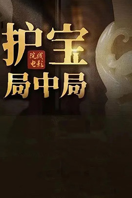 护宝局中局