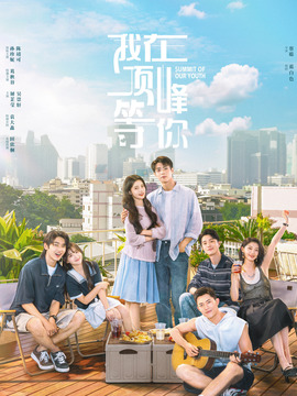 我在顶峰等你封面图