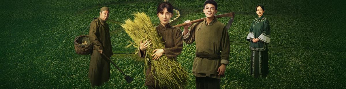 电视剧生万物剧情介绍
